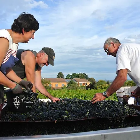 Des Vignes Hotel 3*