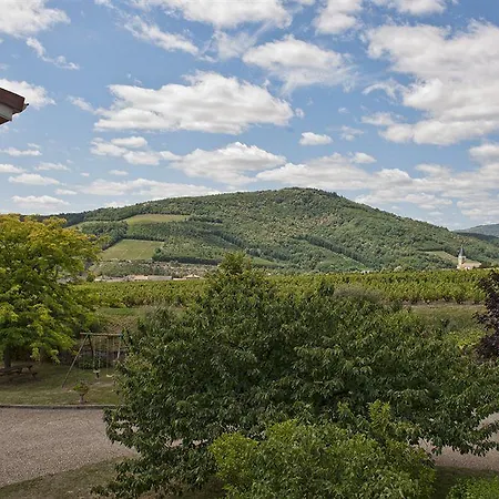 Des Vignes 3* Juliénas