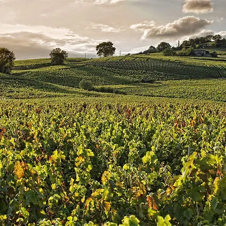 Des Vignes 3* Juliénas