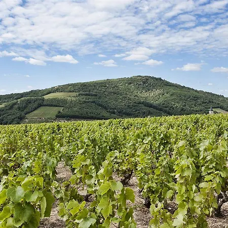 Des Vignes - 3* Juliénas